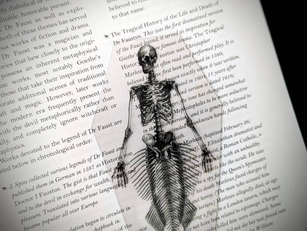 Clear Bookmark Mermaid Skeleton Coffin Witch Goth Gothic Halloween Horror Creepy Oddities