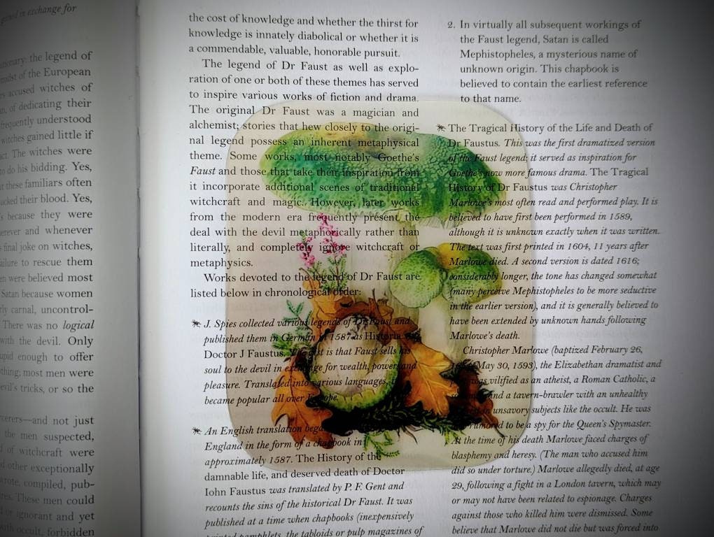 Clear Bookmark Green Cracking Russula Virescens Mushroom Fungus Fungi Nature Botanical Illustration Vintage
