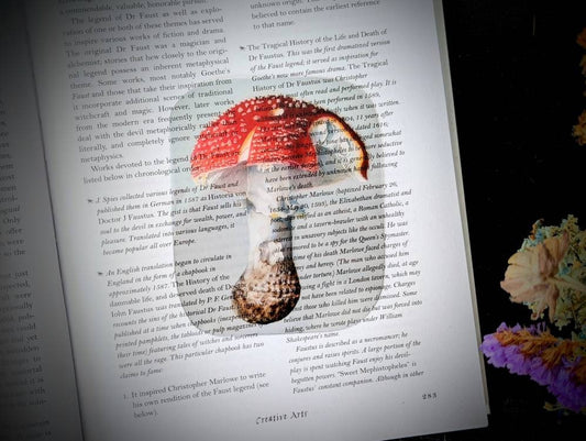 Clear Bookmark Amanita Muscaria Fly Agaric Mushroom Fungus Fungi Nature Botanical Illustration Vintage