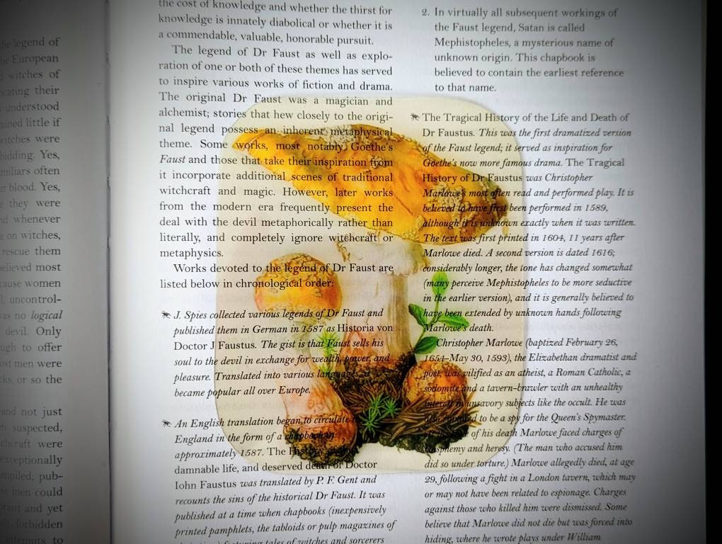 Clear Bookmark Amanita Rubescens Blushing Mushroom Fungus Fungi Nature Botanical Illustration Vintage