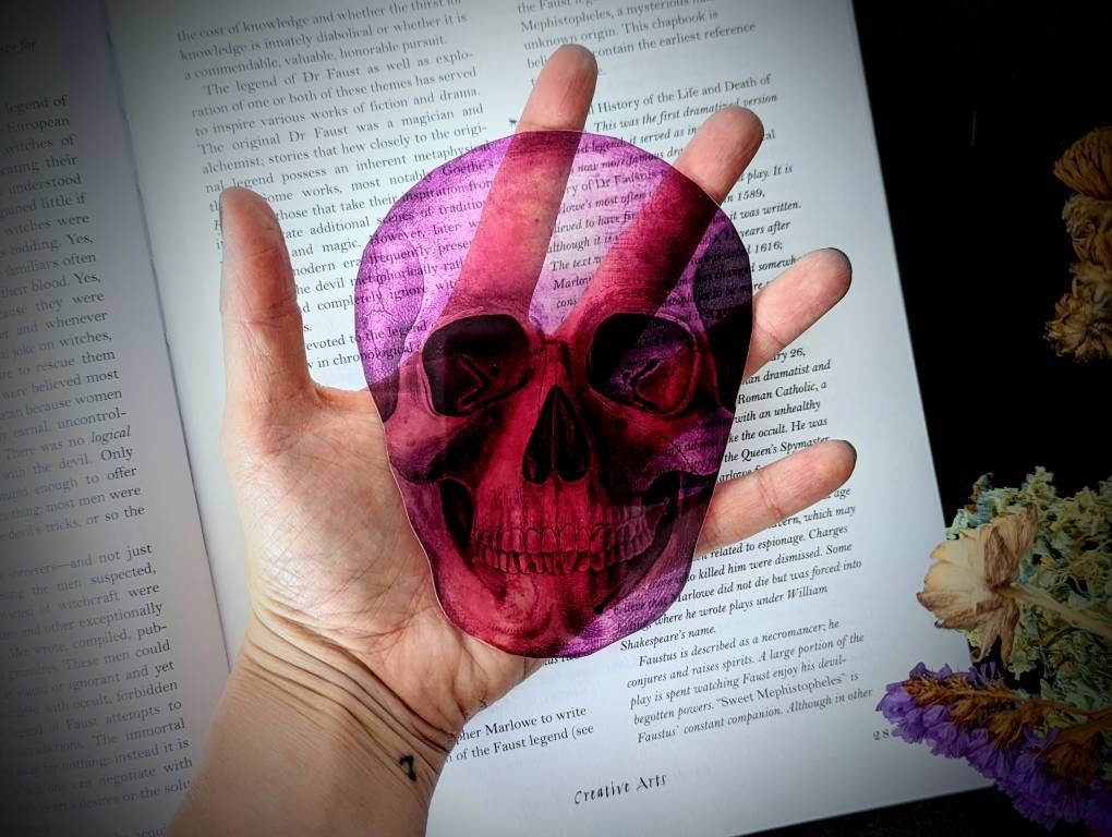 Pink Skull Clear Bookmark Skeleton Goth Gothic Halloween Horror Creepy Spooky Anatomy Oddities