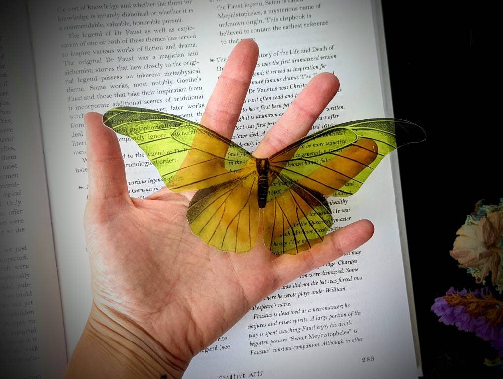 Neon Green Moth Butterfly Clear Bookmark Goth Gothic Halloween Horror Creepy Oddities Nature Bug Insect