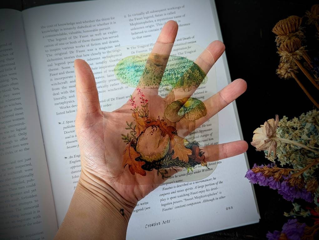 Clear Bookmark Green Cracking Russula Virescens Mushroom Fungus Fungi Nature Botanical Illustration Vintage