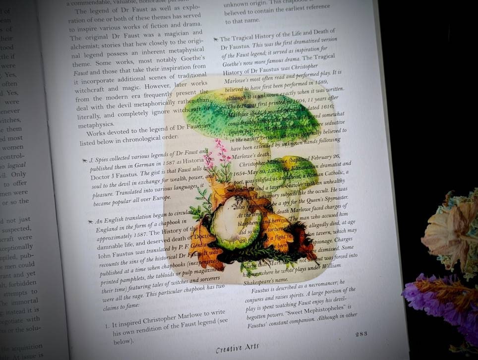 Clear Bookmark Green Cracking Russula Virescens Mushroom Fungus Fungi Nature Botanical Illustration Vintage