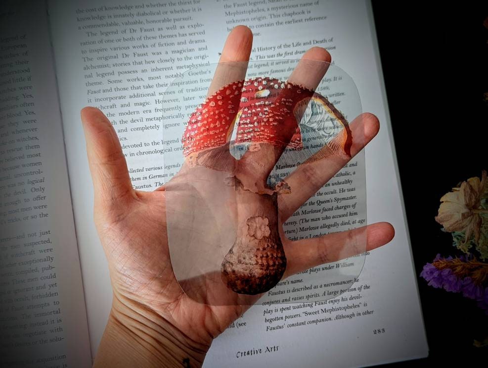 Clear Bookmark Amanita Muscaria Fly Agaric Mushroom Fungus Fungi Nature Botanical Illustration Vintage