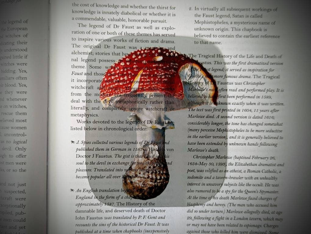 Clear Bookmark Amanita Muscaria Fly Agaric Mushroom Fungus Fungi Nature Botanical Illustration Vintage