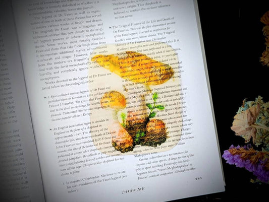 Clear Bookmark Amanita Rubescens Blushing Mushroom Fungus Fungi Nature Botanical Illustration Vintage