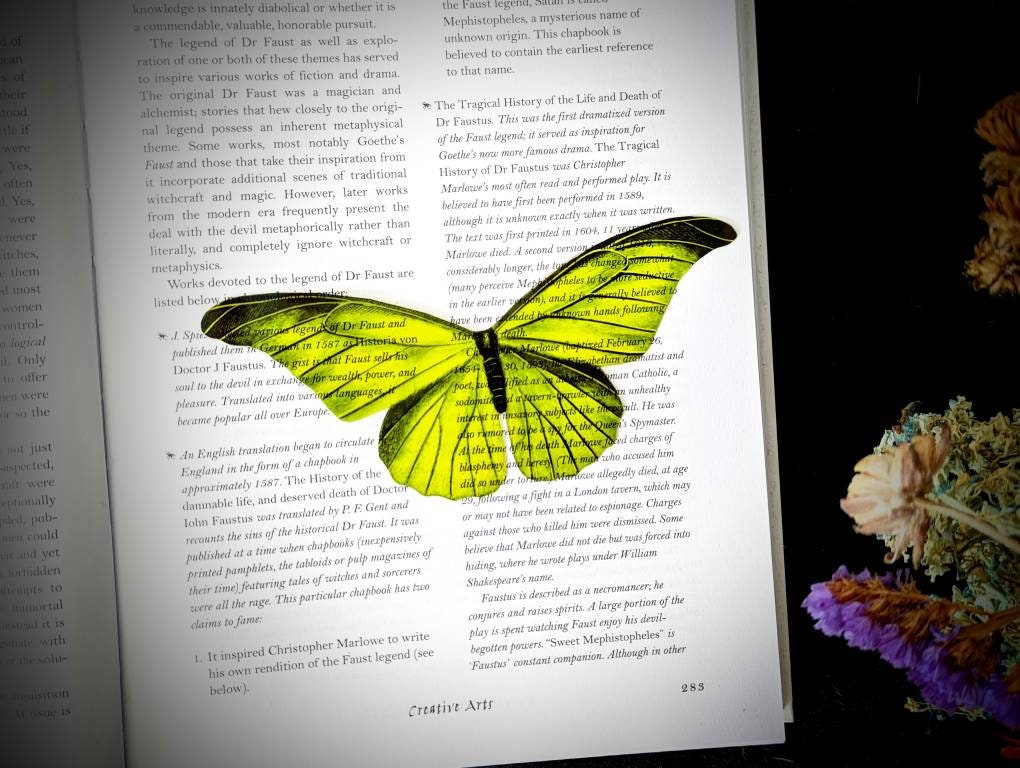 Neon Green Moth Butterfly Clear Bookmark Goth Gothic Halloween Horror Creepy Oddities Nature Bug Insect