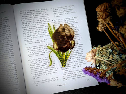 Clear Bookmark Nightmare Iris Flower Skull Skeleton Dark Art Goth Gothic Halloween Horror Creepy Spooky Anatomy