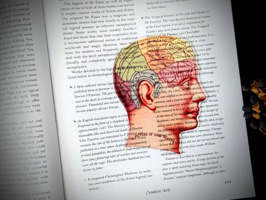 Clear Bookmark Phrenology Brain Cranium Head Human Anatomy Vintage Goth Gothic Halloween Horror Creepy Oddities