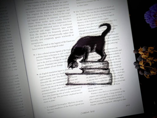Clear Bookmark Black Cat Feline Books Stack Pile Vintage Goth Gothic Halloween Horror Creepy Oddities