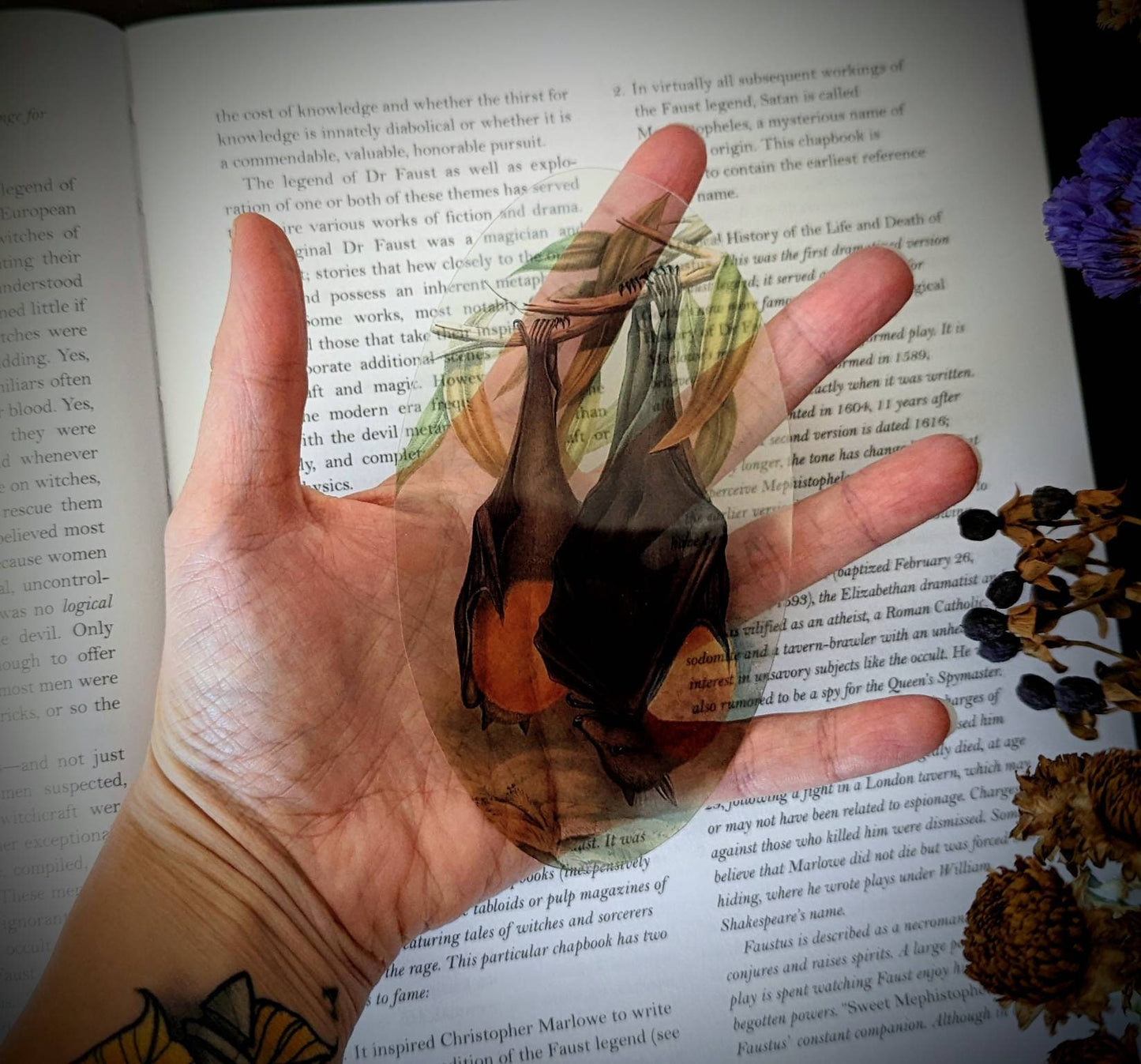 Clear Bookmark Hanging Fruit Bat Goth Gothic Halloween Horror Creepy Oddities Unique Gift