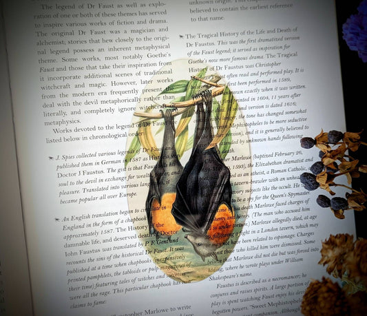 Clear Bookmark Hanging Fruit Bat Goth Gothic Halloween Horror Creepy Oddities Unique Gift