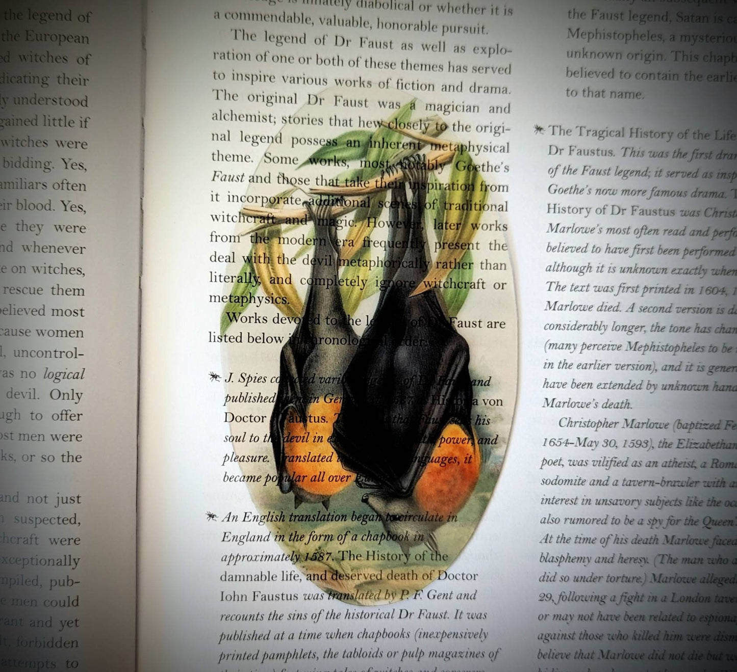 Clear Bookmark Hanging Fruit Bat Goth Gothic Halloween Horror Creepy Oddities Unique Gift