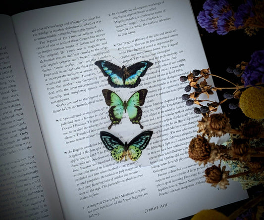 Clear Bookmark Vintage Butterflies Moths Insects Bugs Teal Green Blue Nature Goth Gothic Fairycore Cottagecore Witchcore Dark Academia