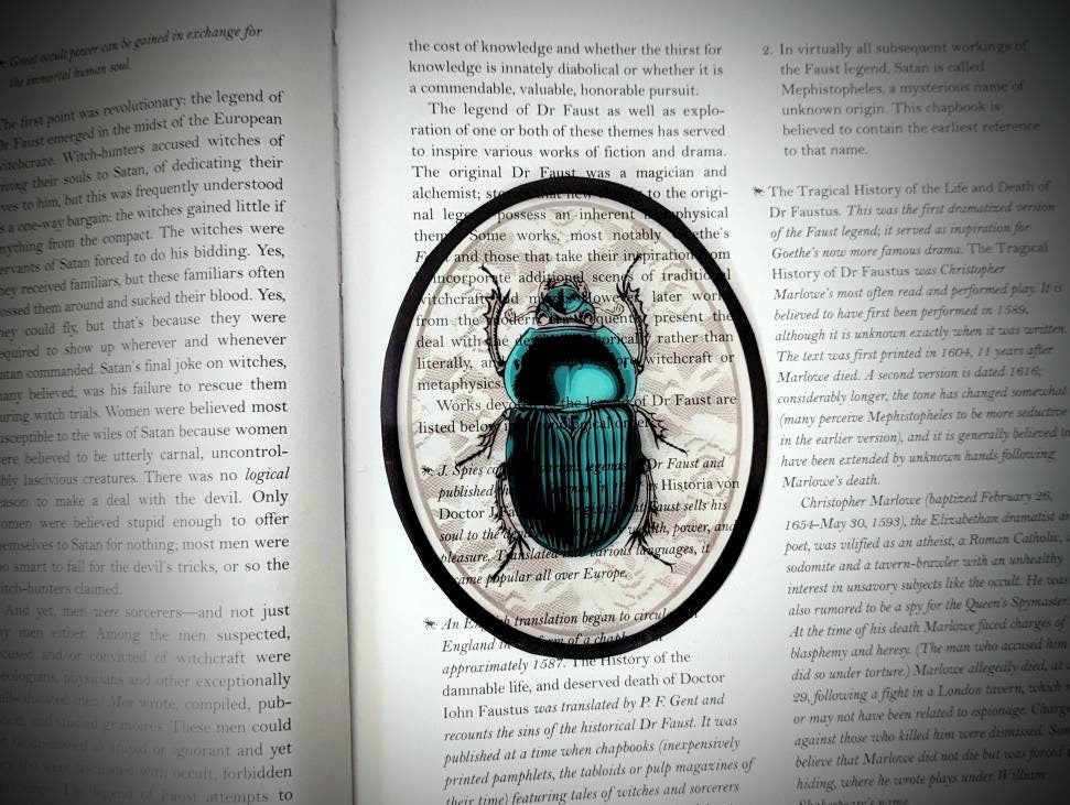 Clear Bookmark Turquoise Teal Beetle Bug Insect Illustration Lace Oval Frame Oddities Zoology Entomology Dark Academia Oddities Gift