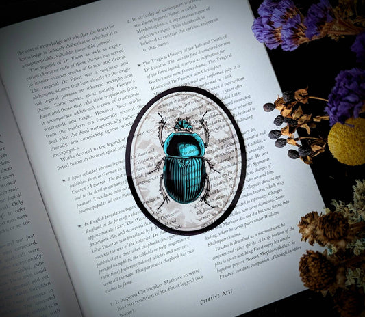 Clear Bookmark Turquoise Teal Beetle Bug Insect Illustration Lace Oval Frame Oddities Zoology Entomology Dark Academia Oddities Gift