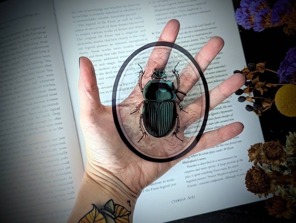 Clear Bookmark Turquoise Teal Beetle Bug Insect Illustration Lace Oval Frame Oddities Zoology Entomology Dark Academia Oddities Gift