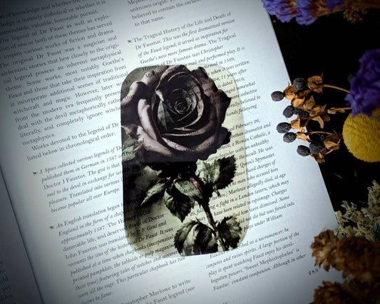 Clear Bookmark Vintage Watercolor Black/Purple Rose Flower Floral Victorian Goth Gothic Dark Academia Fairycore Cottagecore Witchcore