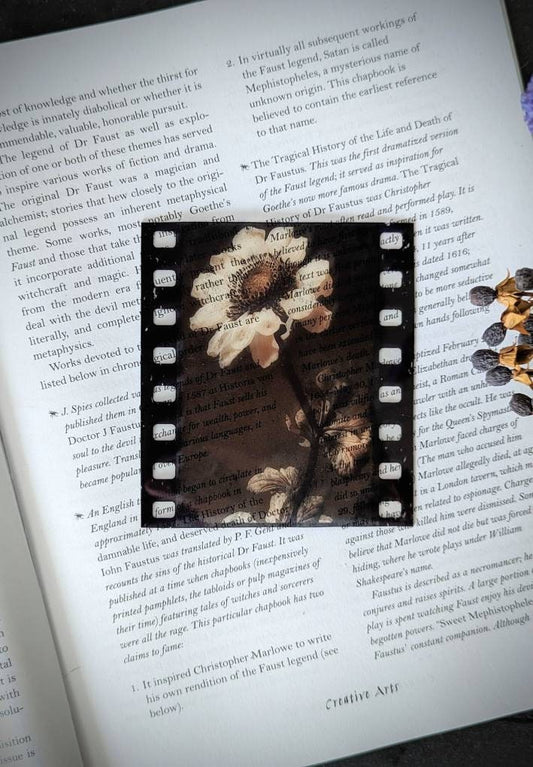 Clear Bookmark Grunge Film Strip Sepia Flower Floral Cottagecore Witchcore Fairycore Vintage Goth Gothic Halloween Creepy Dark Academia