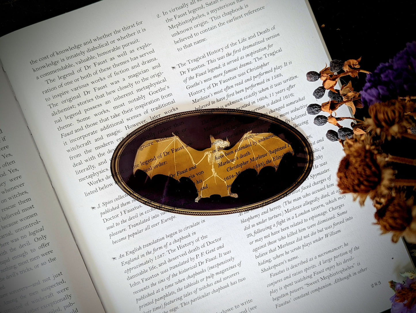 Clear Bookmark Bat Skeleton Gold Frame Victorian Baroque Goth Gothic Halloween Horror Creepy Oddities Unique Dark Weird