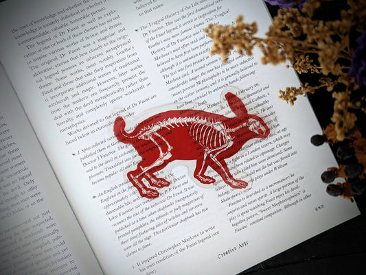 Clear Bookmark Red Rabbit Skeleton Anatomy Goth Gothic Halloween Horror Cottagecore Fairycore Dark Academia Handmade Artist