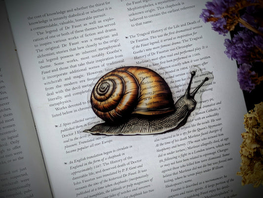 Clear Bookmark Snail Slug Shell Gastropod Mollusk Dark Academia Cottagecore Nature Gift Handmade