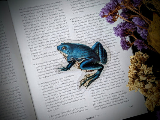Clear Bookmark Vintage Blue Frog Nature Dark Academia Fairycore Cottagecore Witchcore Handmade Artist