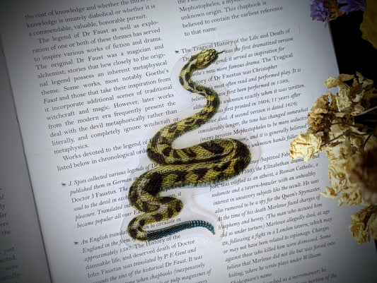 Clear Bookmark Vintage Rattlesnake Reptile Desert Nature Dark Academia Fairycore Cottagecore Witchcore Handmade Artist