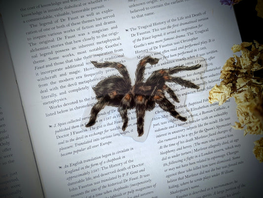 Clear Bookmark Vintage Tarantula Spider Arachnid Desert Nature Dark Academia Fairycore Cottagecore Witchcore Handmade Artist