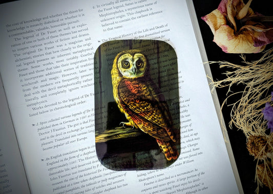 Clear Bookmark Vintage Owl Nature Dark Academia Fairycore Cottagecore Witchcore Handmade Artist