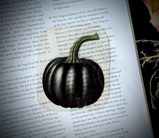 Clear Bookmark Vintage Black Pumpkin Gourd Fall Autumn Halloween Dark Academia Fairycore Cottagecore Witchcore Handmade Artist