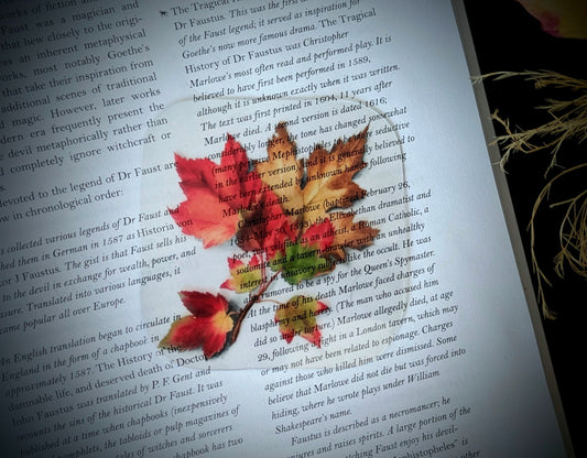 Clear Bookmark Fall Autumn Colored Maple Leaves Changing Colors Halloween Dark Academia Fairycore Cottagecore Witchcore Handmade Artist