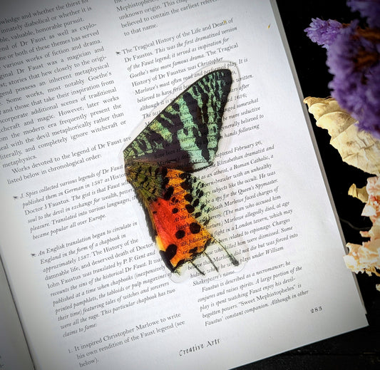 Clear Bookmark Madagascar Sunset Moth Chrysidiria Rhipheus Wing Nature Bug Insect Butterfly Cottagecore Fairycore Handmade Artist