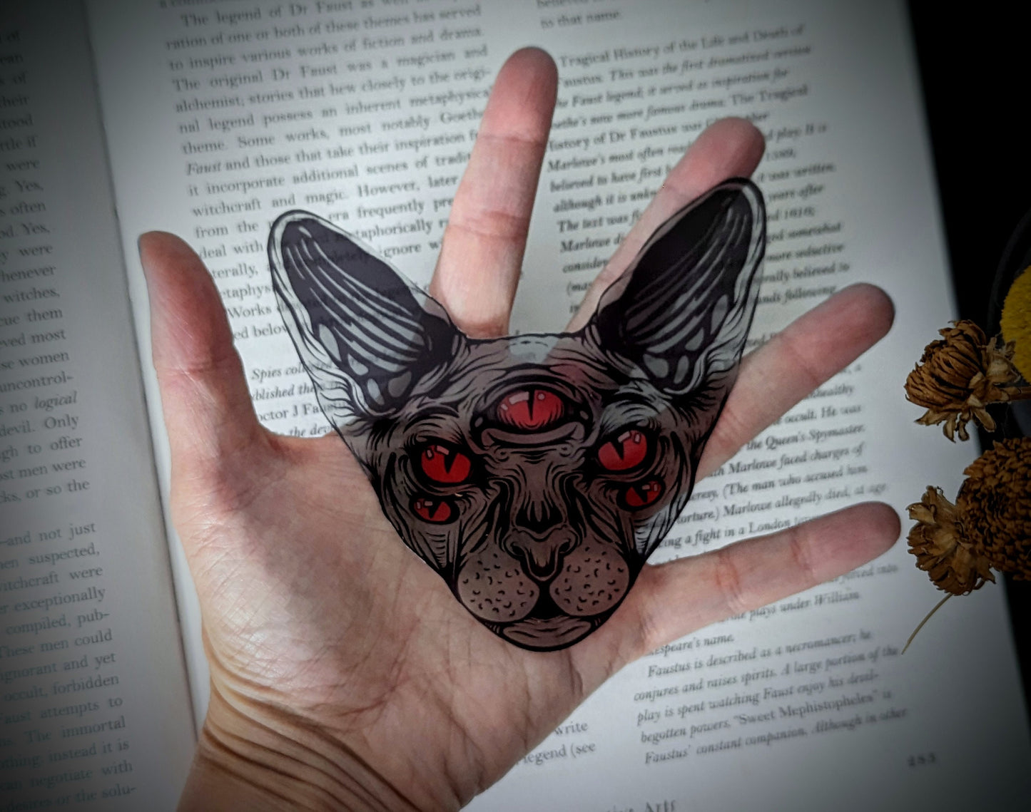 Clear Bookmark Hairless Sphinx Cat Feline Five Red Eyes Creepy Goth Gothic Halloween Horror Handmade Artist Book Lover Reader Gift