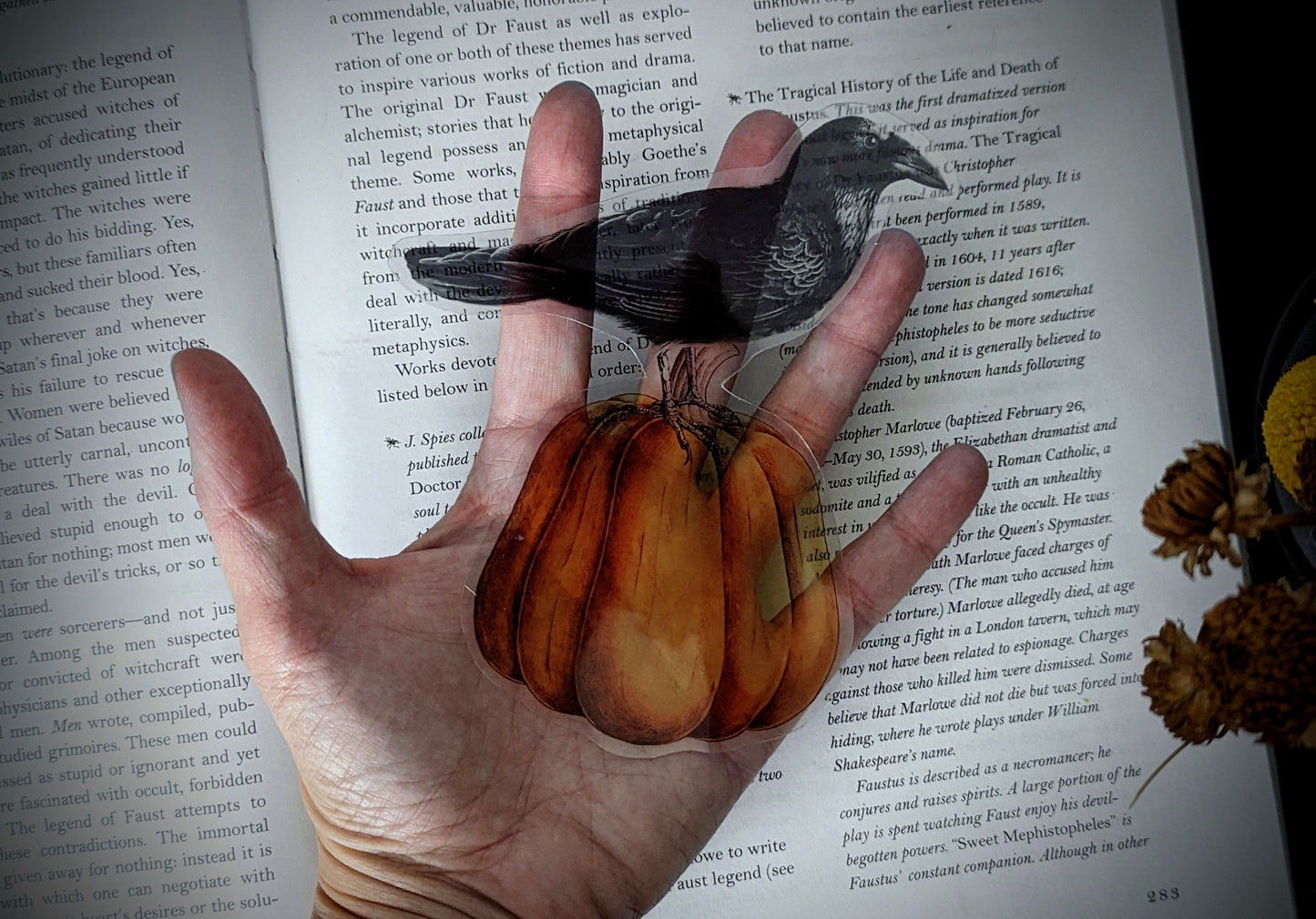 Clear Bookmark Raven Crow Corvus Blackbird Orange Pumpkin Goth Gothic Halloween Horror Dark Academia Handmade Artist Book Reader Lover Gift