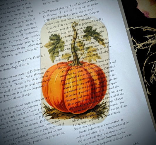 Clear Bookmark Vintage Orange Pumpkin Gourd Fall Autumn Halloween Dark Academia Fairycore Cottagecore Witchcore Handmade Artist