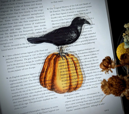 Clear Bookmark Raven Crow Corvus Blackbird Orange Pumpkin Goth Gothic Halloween Horror Dark Academia Handmade Artist Book Reader Lover Gift