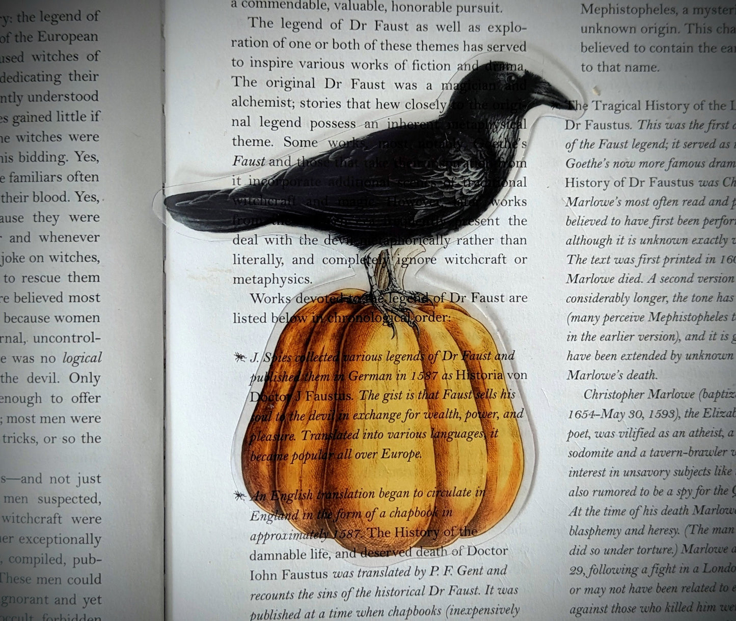 Clear Bookmark Raven Crow Corvus Blackbird Orange Pumpkin Goth Gothic Halloween Horror Dark Academia Handmade Artist Book Reader Lover Gift
