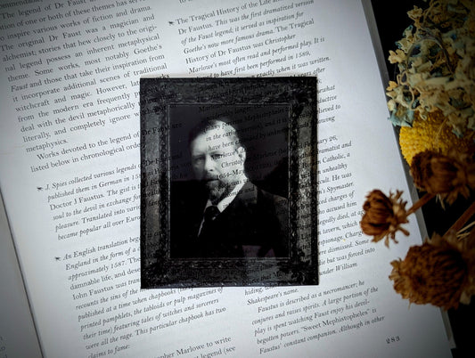Clear Bookmark Bram Stoker Ornate Frame Dark Academia Cottagecore Fairycore Handmade Artist Book Lover Reader Gift