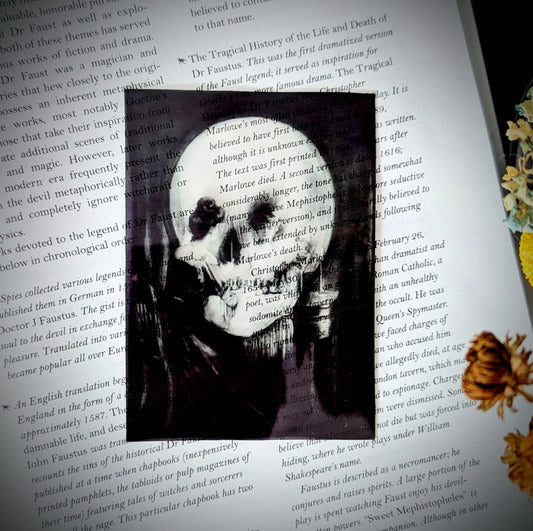 Clear Bookmark All Is Vanity Charles Allan Gilbert Dark Academia Cottagecore Handmade Artist Book Lover Reader Gift