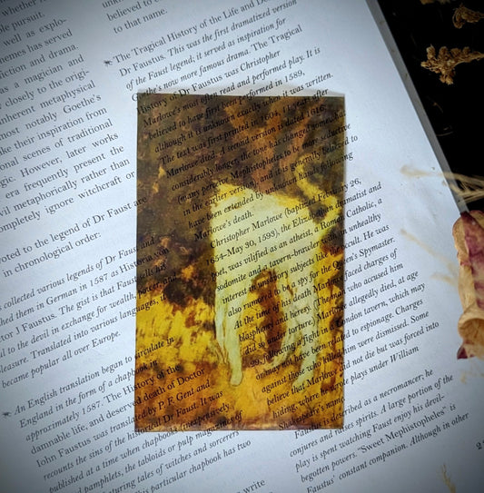 Clear Bookmark Vintage Painting Le Chat Blanc by Pierre Bonnard Musée d'Orsay Ugly Cat Renaissance Book Reader Lover Gift Handmade