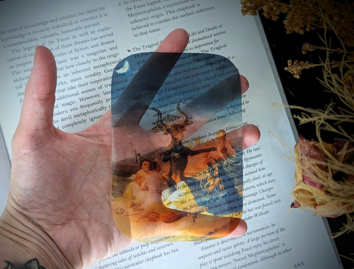 Clear Bookmark Vintage Painting Witches Sabbath Francisco Goya Dark Academia Goth Gothic Book Reader Lover Gift Handmade