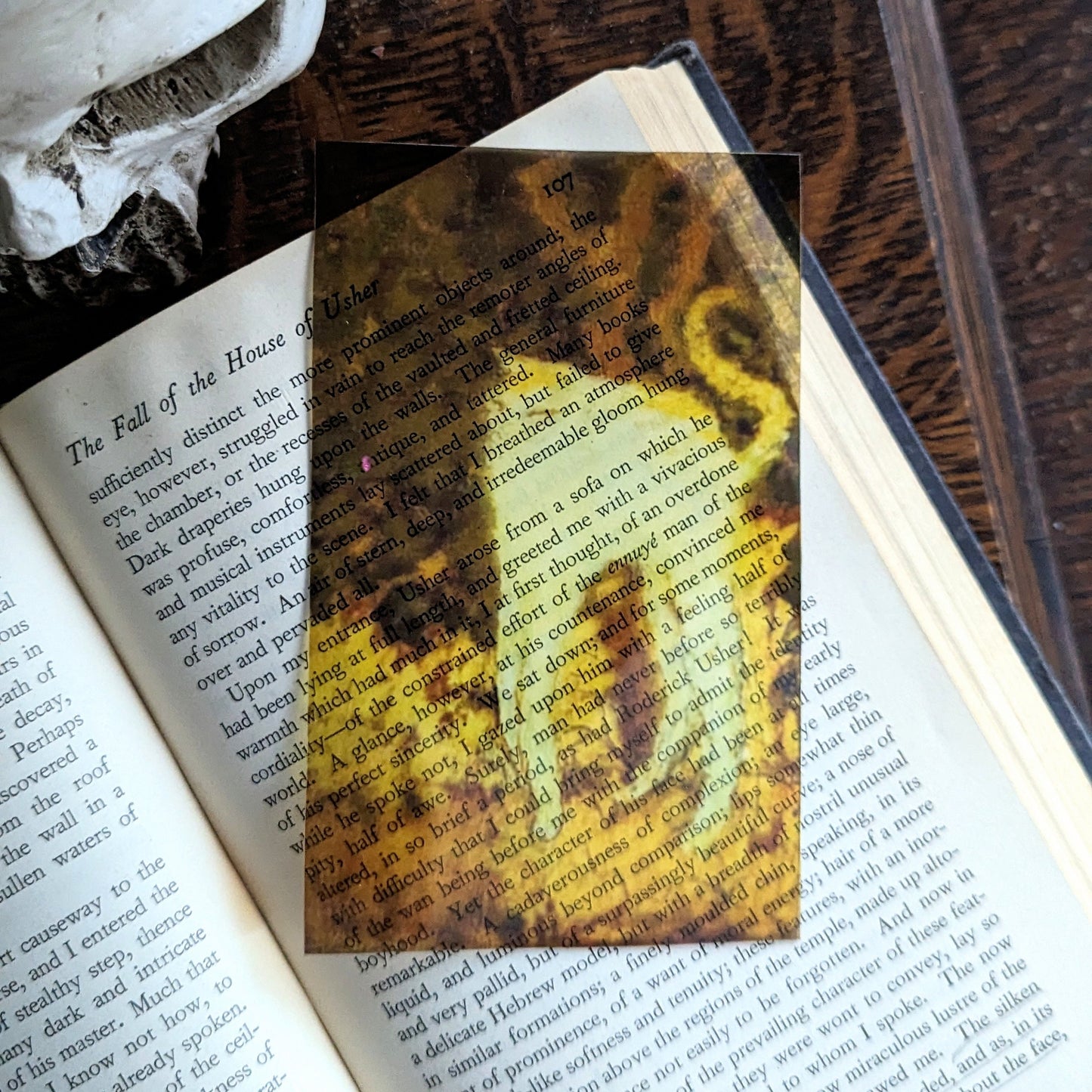 Clear Bookmark Vintage Painting Le Chat Blanc by Pierre Bonnard Musée d'Orsay Ugly Cat Renaissance Book Reader Lover Gift Handmade