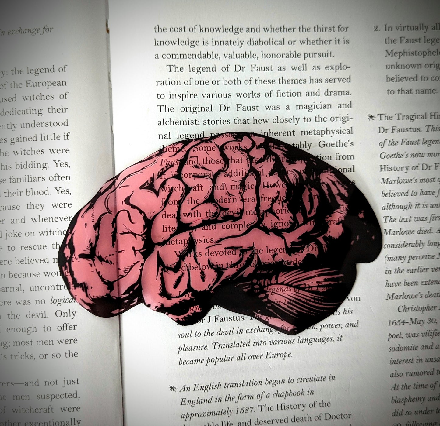 Clear Bookmark Human Brain Medical Anatomy Goth Gothic Halloween Horror Dark Academia Book Lover Reader Gift Handmade Artist