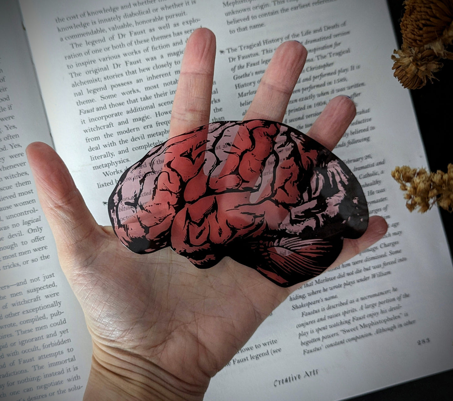 Clear Bookmark Human Brain Medical Anatomy Goth Gothic Halloween Horror Dark Academia Book Lover Reader Gift Handmade Artist
