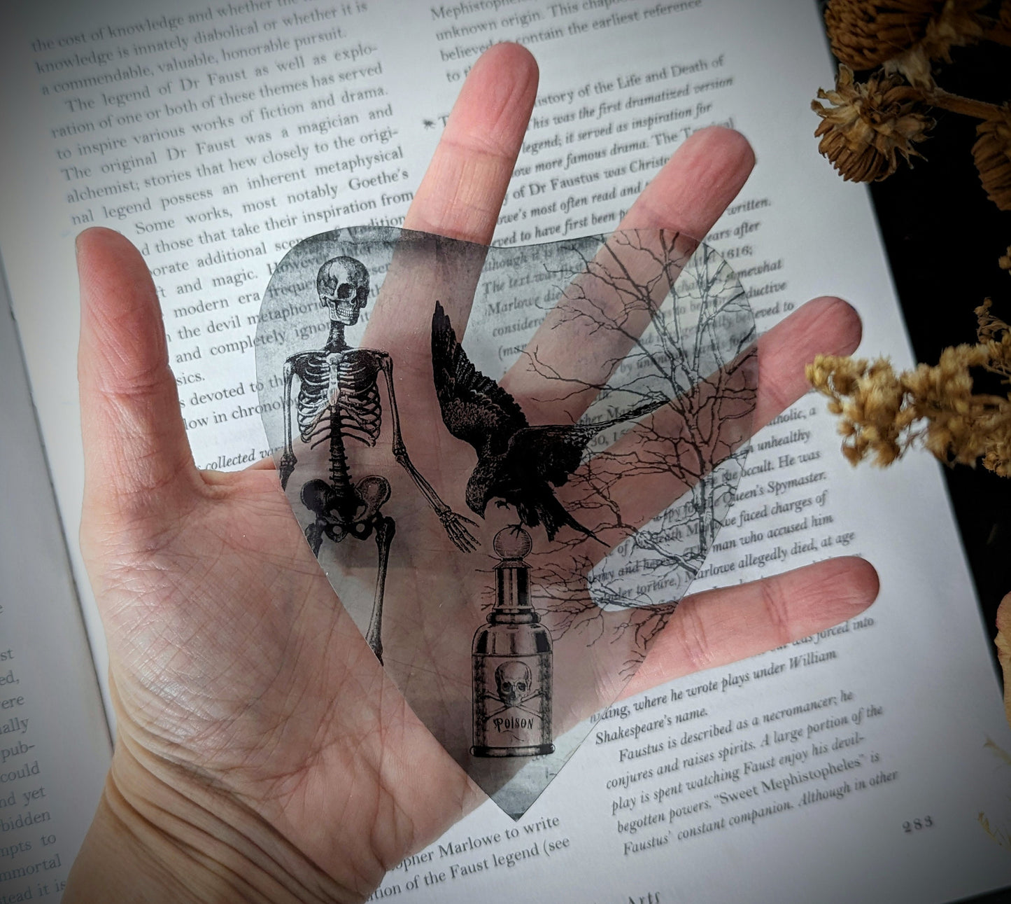 Clear Bookmark Crow Human Skeleton Poison Collage Dark Academia Victorian Gothic Halloween Horror Book Lover Reader Gift Handmade Artist