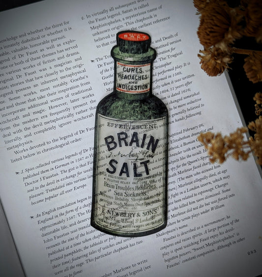 Clear Bookmark Brain Salt Apothecary Bottle Dark Academia Victorian Gothic Halloween Horror Book Lover Reader Gift Handmade Artist