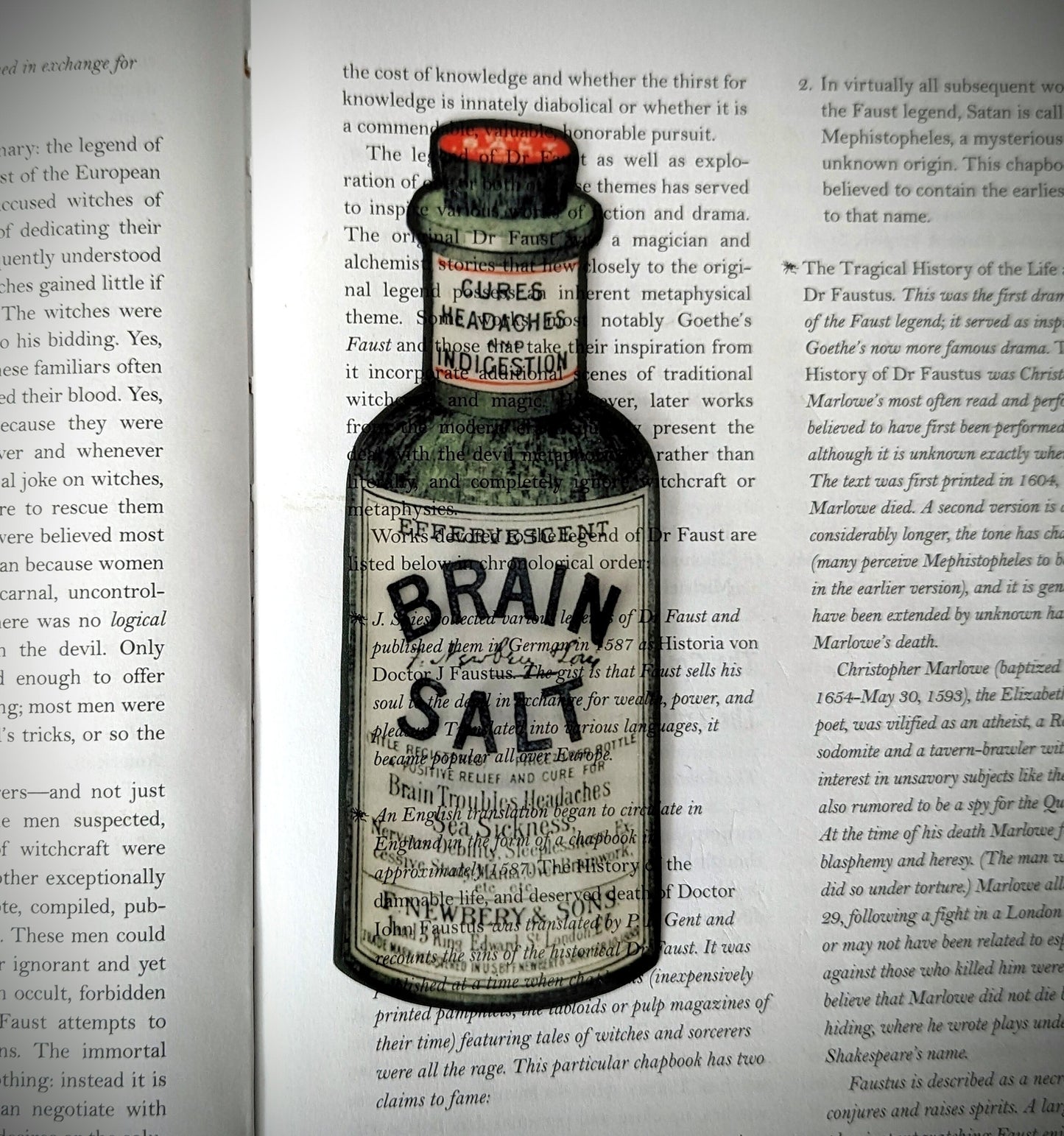 Clear Bookmark Brain Salt Apothecary Bottle Dark Academia Victorian Gothic Halloween Horror Book Lover Reader Gift Handmade Artist