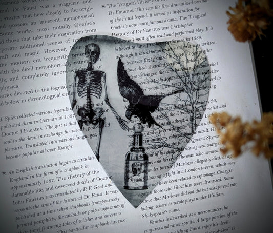 Clear Bookmark Crow Human Skeleton Poison Collage Dark Academia Victorian Gothic Halloween Horror Book Lover Reader Gift Handmade Artist